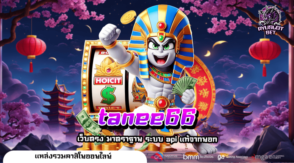 tanee66 เล่นได้ทุกเวลา เว็บตรงเชื่อถือได้ สนุกง่ายผ่านมือถือ